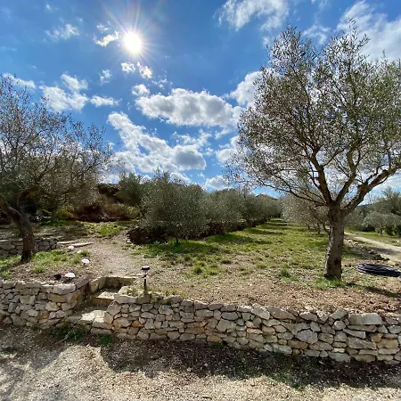 Romarin Avec * Saint-Jean-de-Barrou