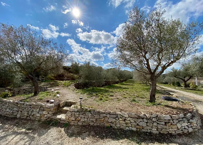 Romarin Avec * Saint-Jean-de-Barrou