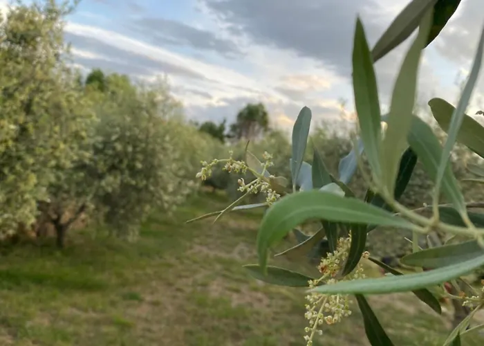 Prázdninový dům Romarin Avec